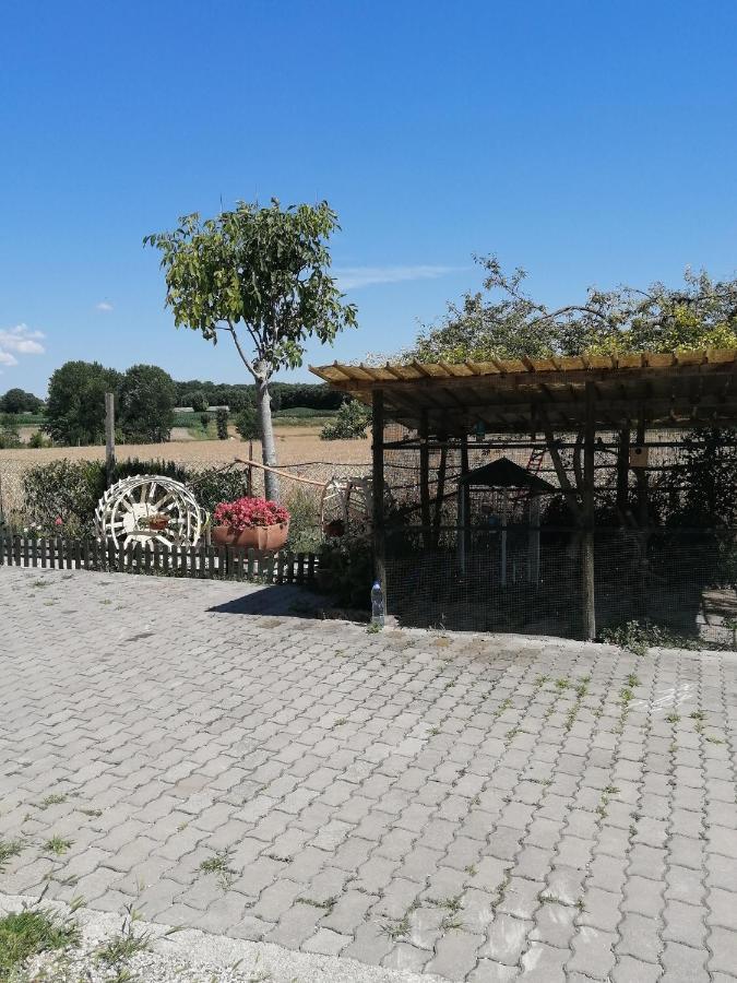 Agriturismo Nuvolino Guest House Monzambano Exterior photo