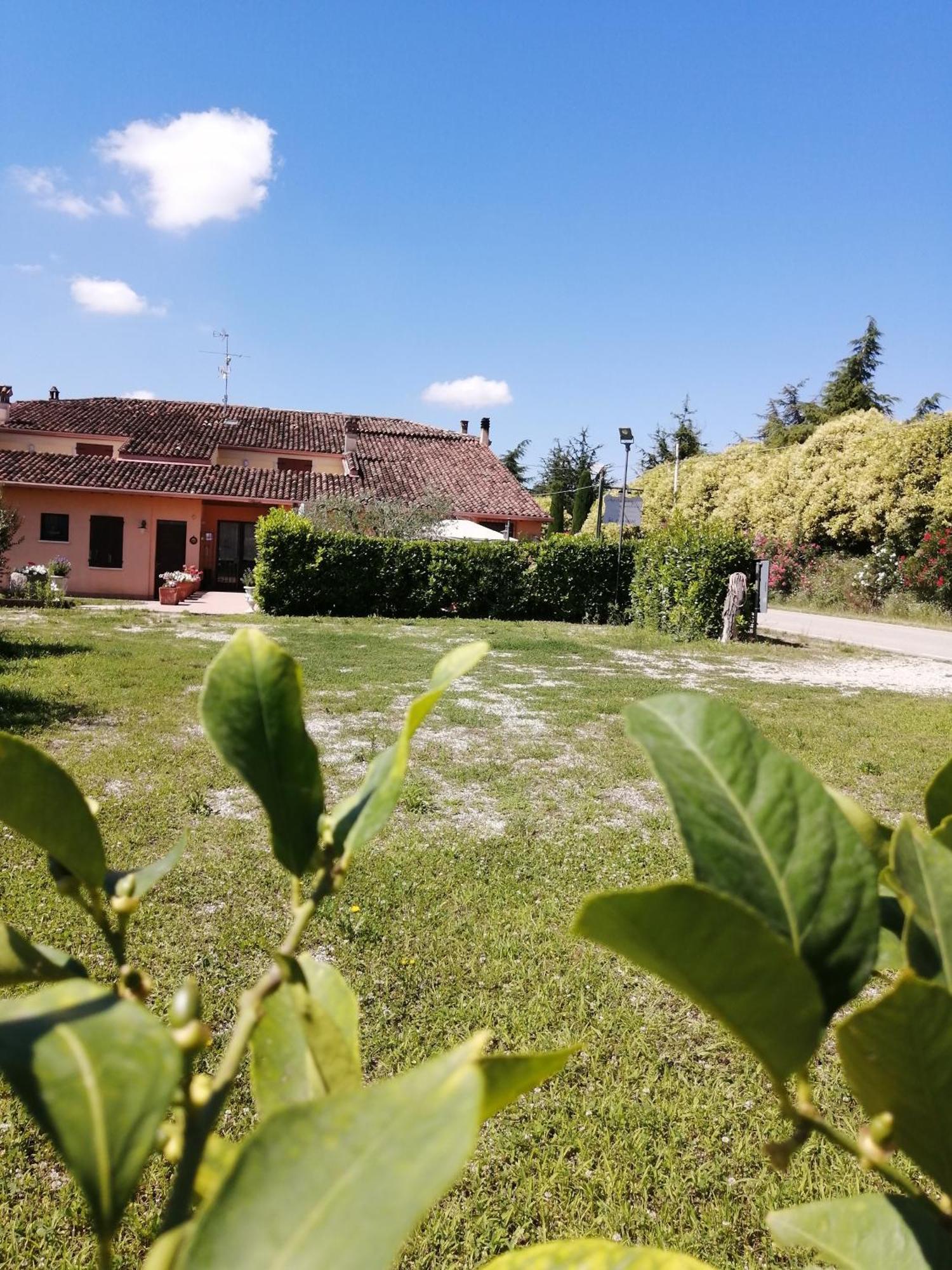 Agriturismo Nuvolino Guest House Monzambano Exterior photo