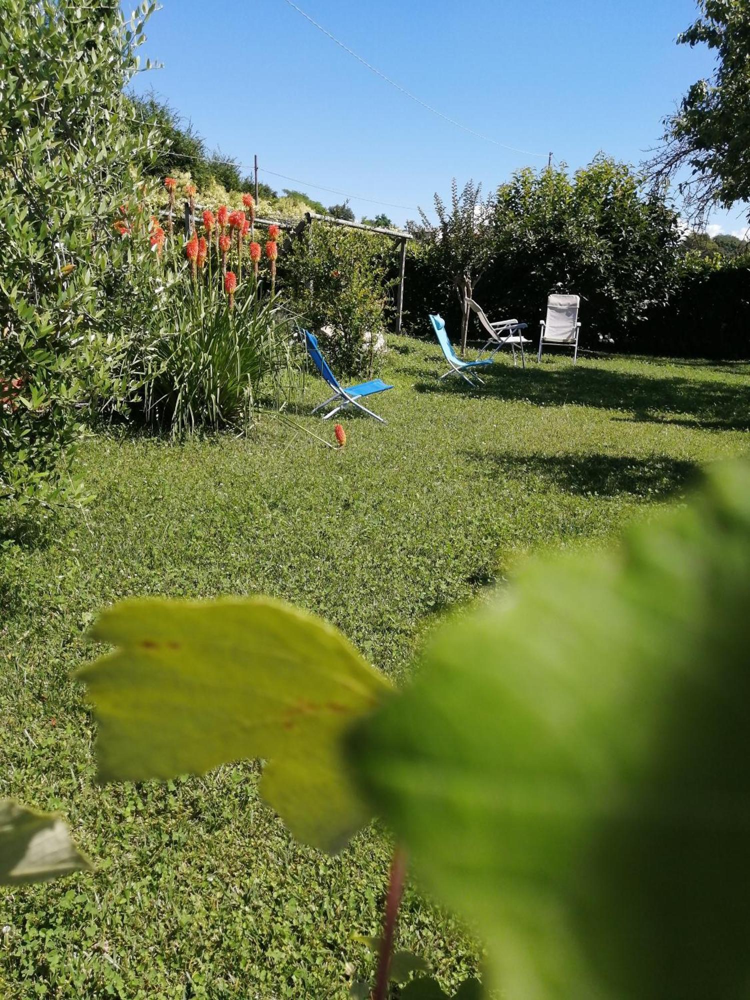 Agriturismo Nuvolino Guest House Monzambano Exterior photo